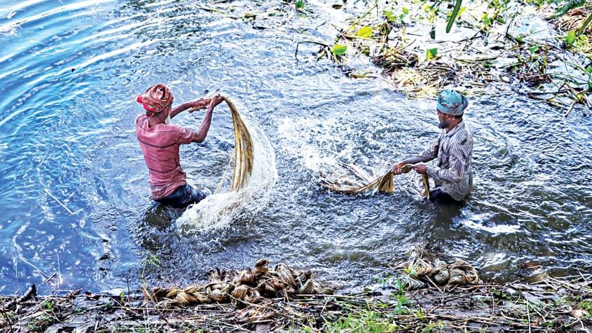 jute1.jpg