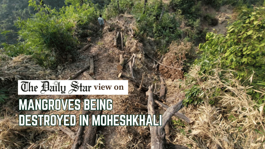 Save Moheshkhali’s mangrove forest