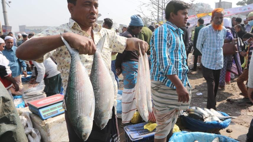 Hilsa export to india