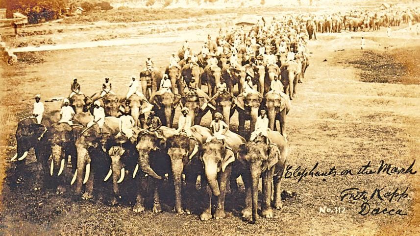 Pilkhana elephant depot history