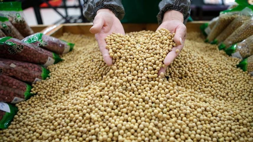 US soybean import Bangladesh