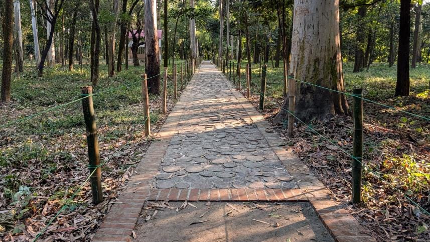 Inside National Botanical Garden’s new barefoot trail