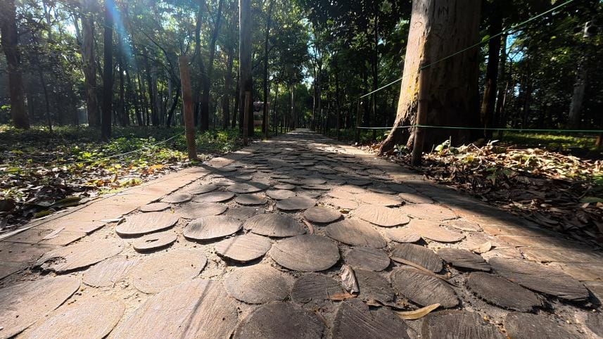 Inside National Botanical Garden’s new barefoot trail