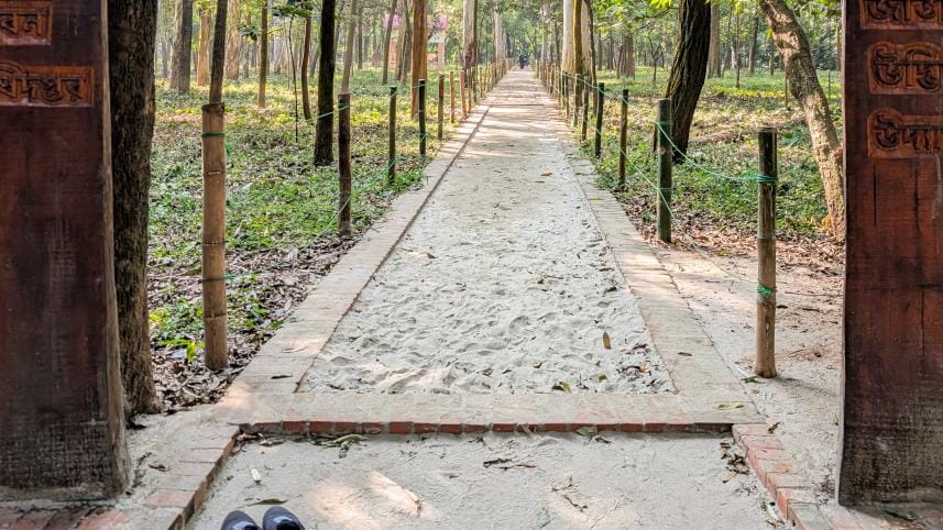 Inside National Botanical Garden’s new barefoot trail