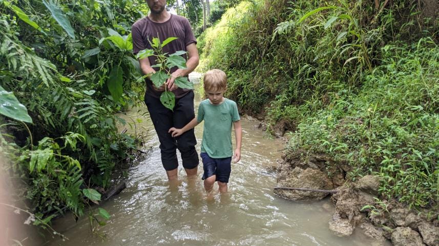 What Bangladesh’s forgotten trees tell us about nature’s fragility