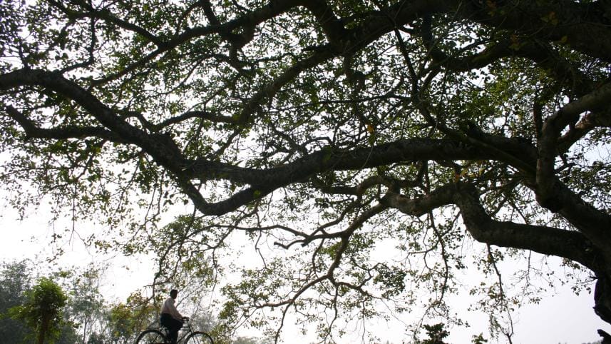 Why you should explore Bangladesh in your 20s