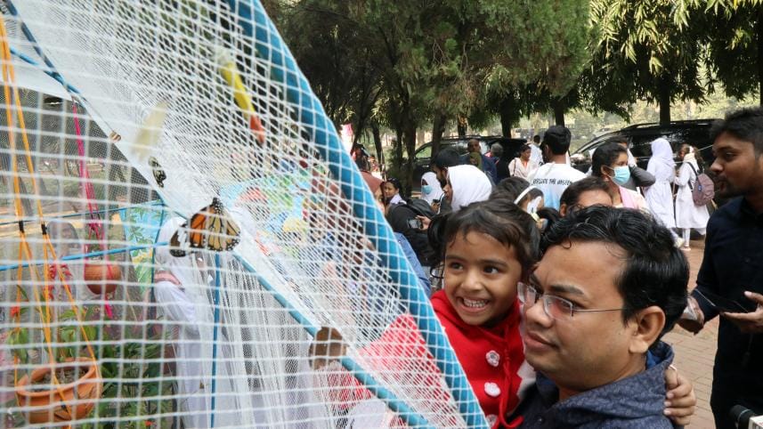 butterfly fair_1.jpg