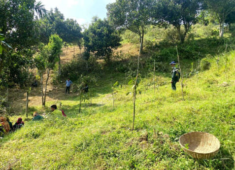 Lawachhara-national-park