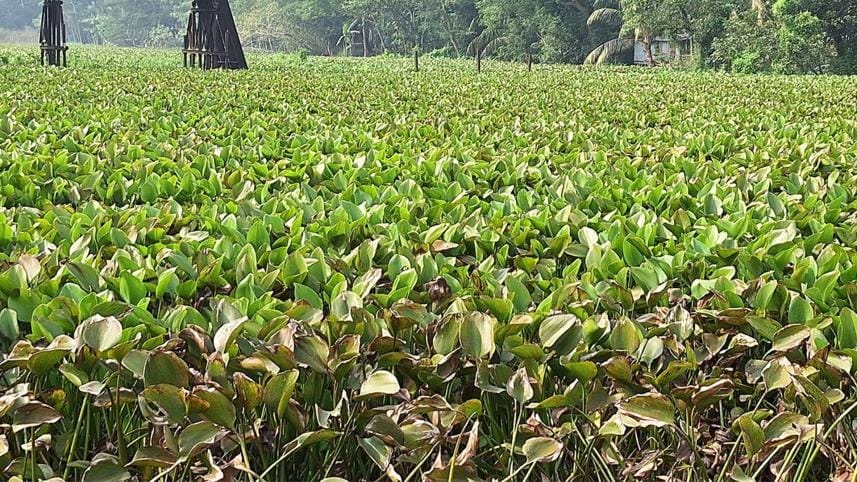 Barguna- Subandi canal 02.12.24-1_3681_1.jpg