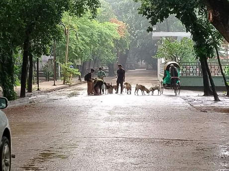 my dhaka -- kalu.jpg