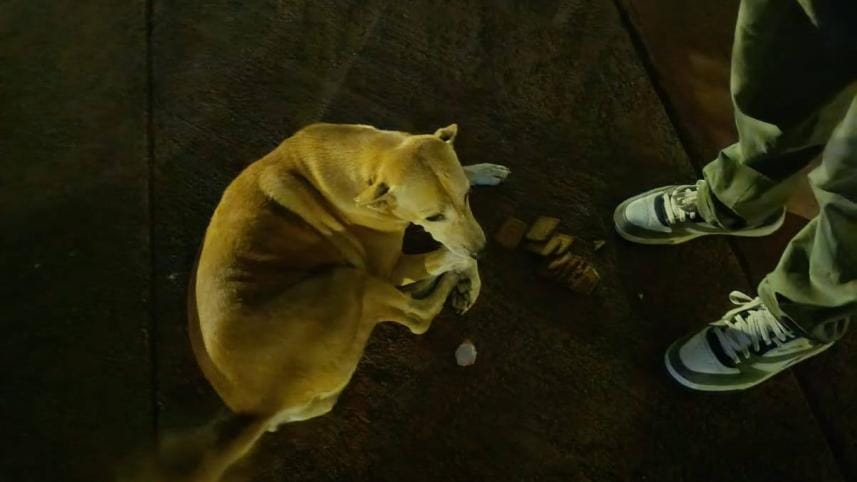 my dhaka -- kalu_1ec9.jpg