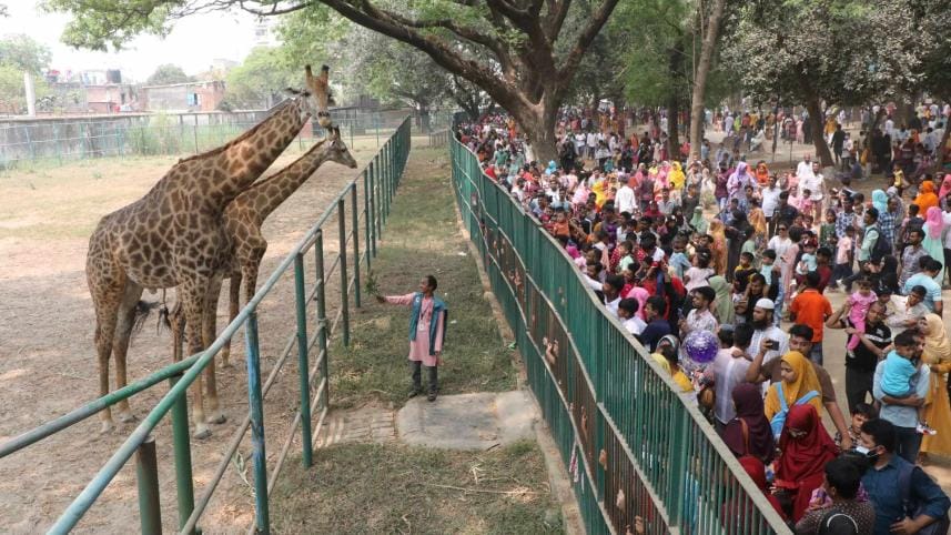 festive photo _73e8.jpg