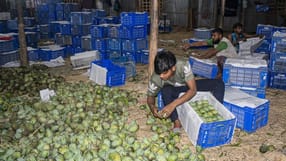 Story for Weekend ReadWR- Mostafa Shabuj-25.08.25_53a2.jpg