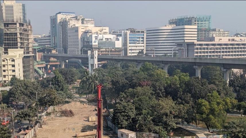 OP 2 - Apathy and lack of legal protection endanger dwindling urban greenery_1.jpg