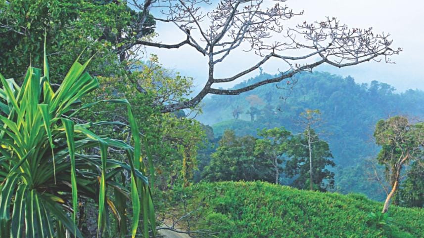 a_trekkers_guide_to_bangladesh