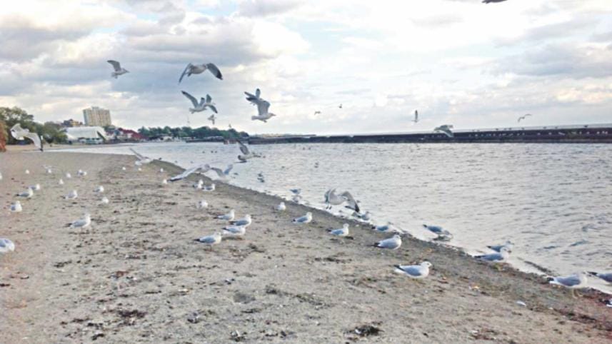 Budapest Park – a pride of Toronto city!