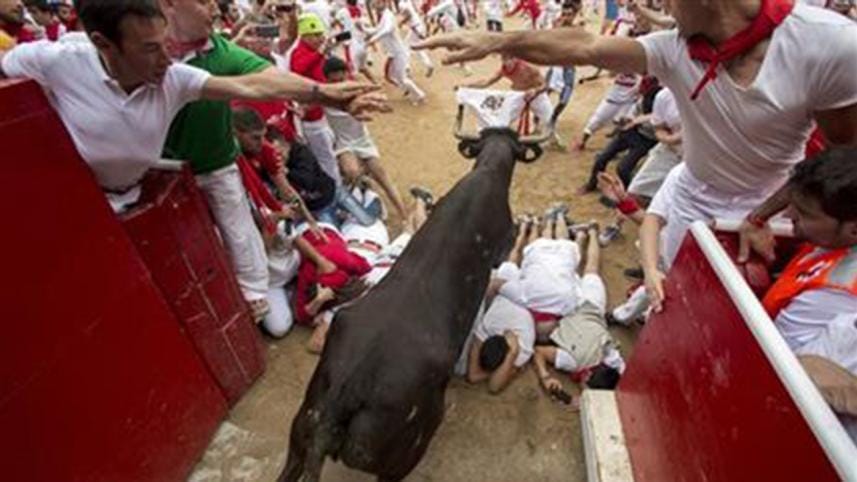 bull-spain1-WEB.jpg