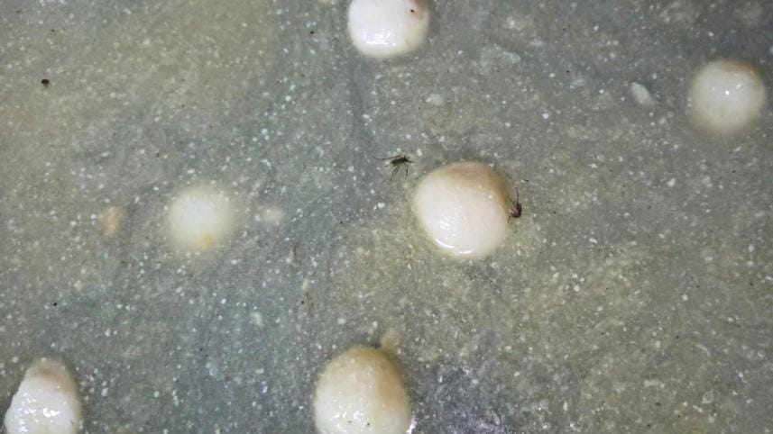 Chandgaon area 2.jpg