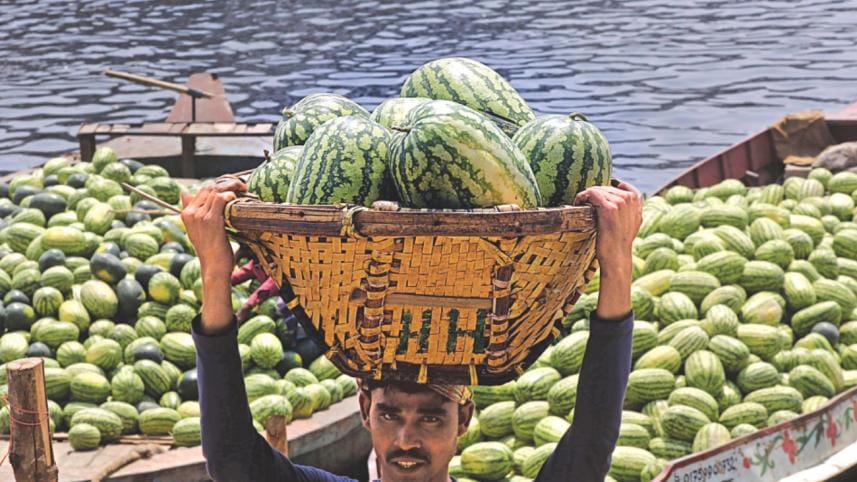 Great Summer Delight2.jpg