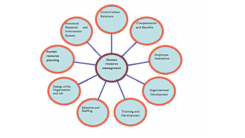 human_resources_4.jpg