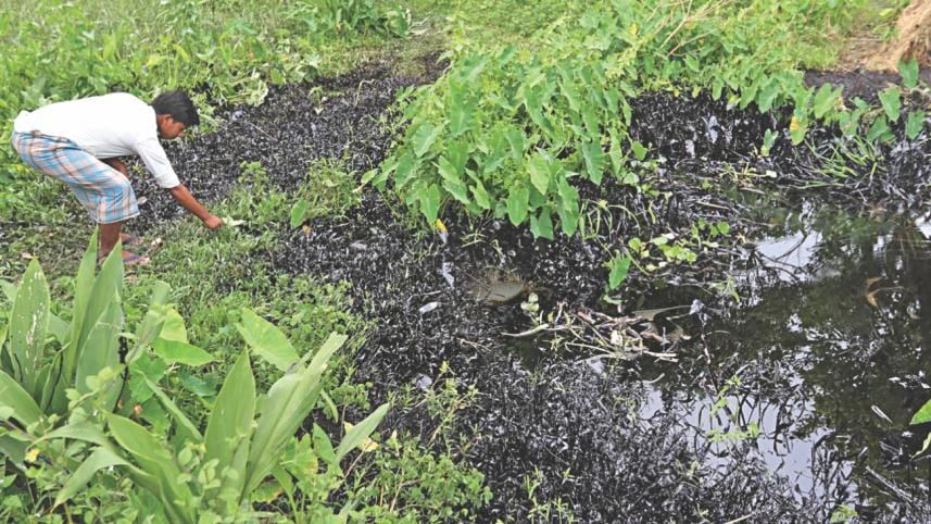 oil spread canel 2.jpg