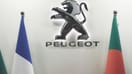 peugeot_1.jpg
