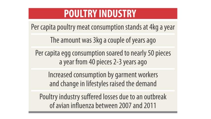 poultry industry 2.jpg