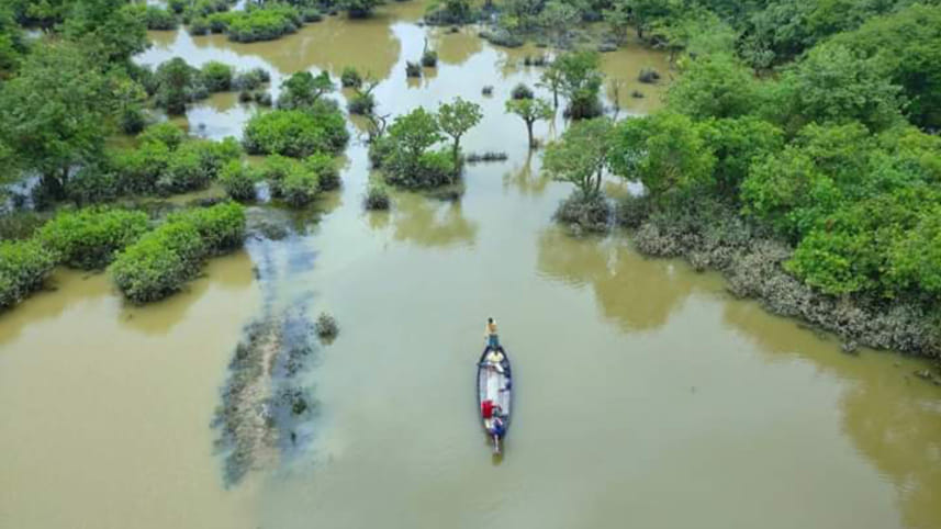 Ratargul Swamp Forest, Sylhet
