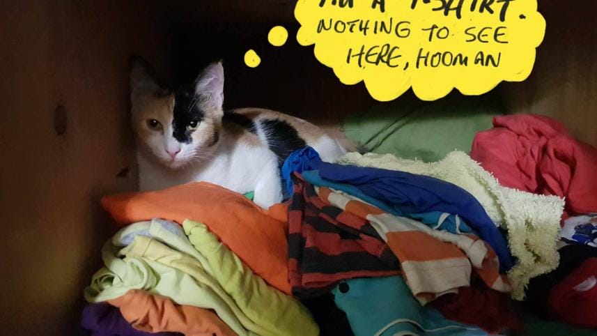 Samsung Note8 photo sample 1