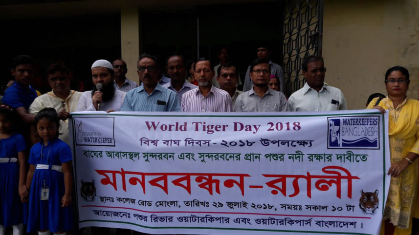 bengal tiger habitat Sundarbans