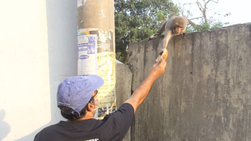 sylhet_feeding_monkeys_2.jpg