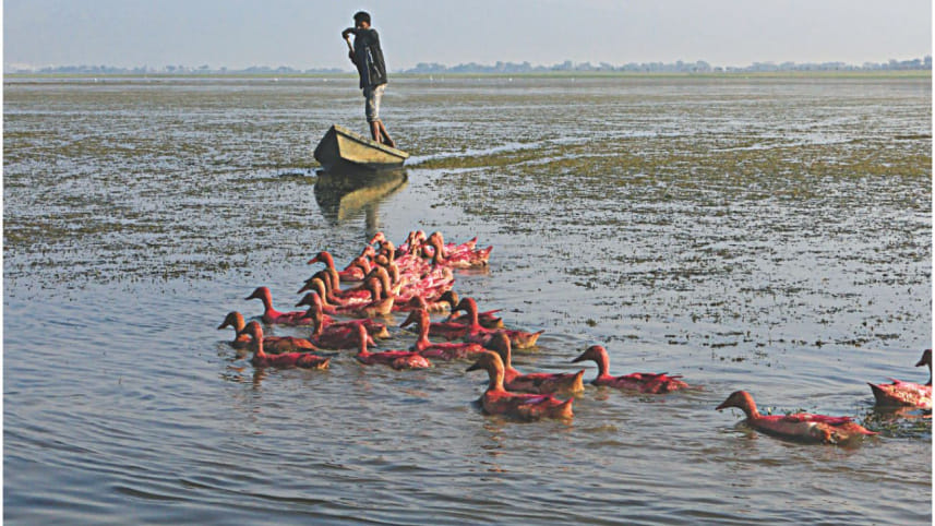 technology_at_tanguar_haor