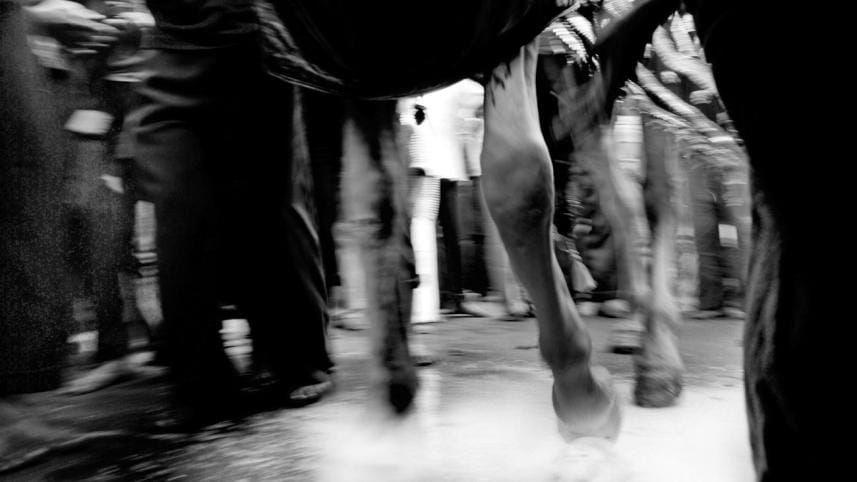 The poetry of sorrow