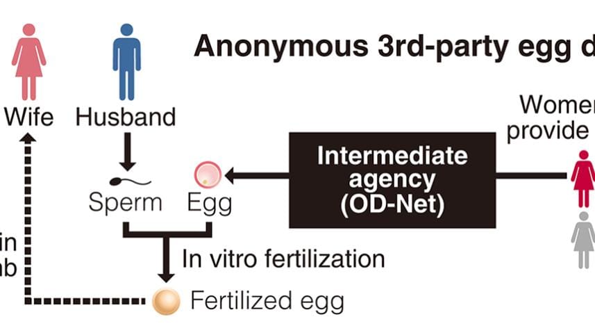 Japan birth resulting from an anonymous third-party egg