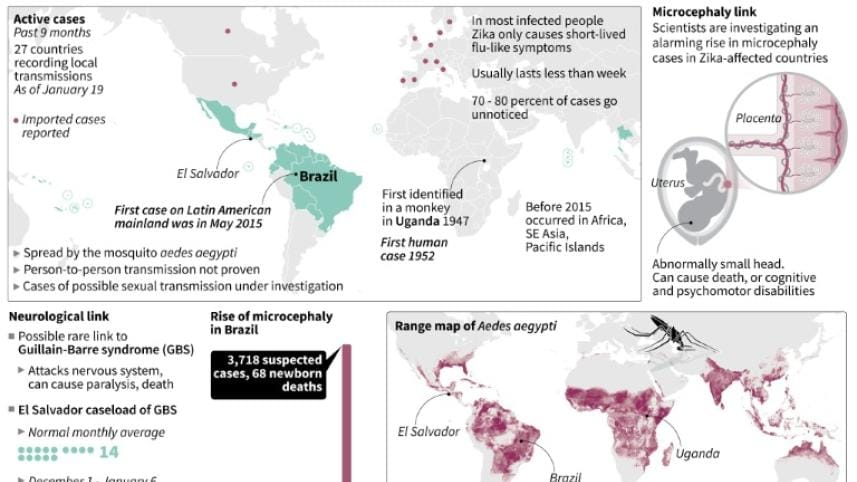Zika-afp-info.jpg