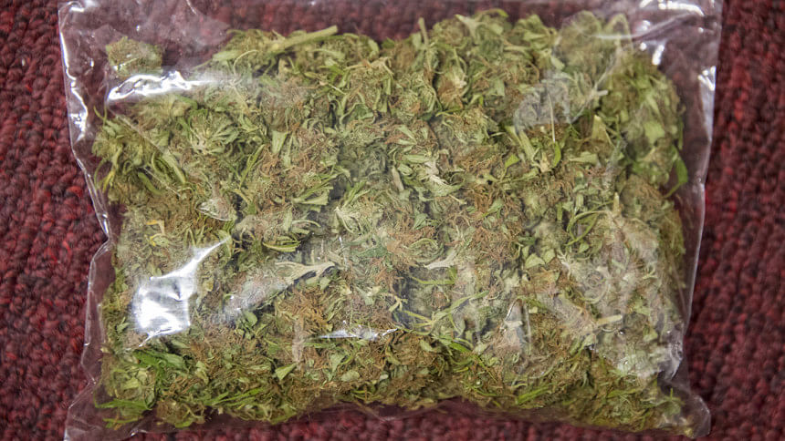 Weed, pot, Weed, pot,
