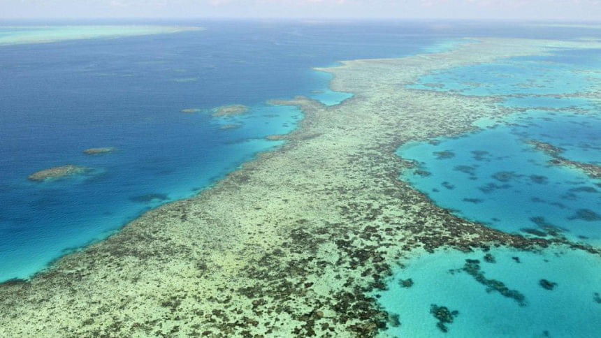 Australia fights UN downgrade of Great Barrier Reef health | The Daily Star