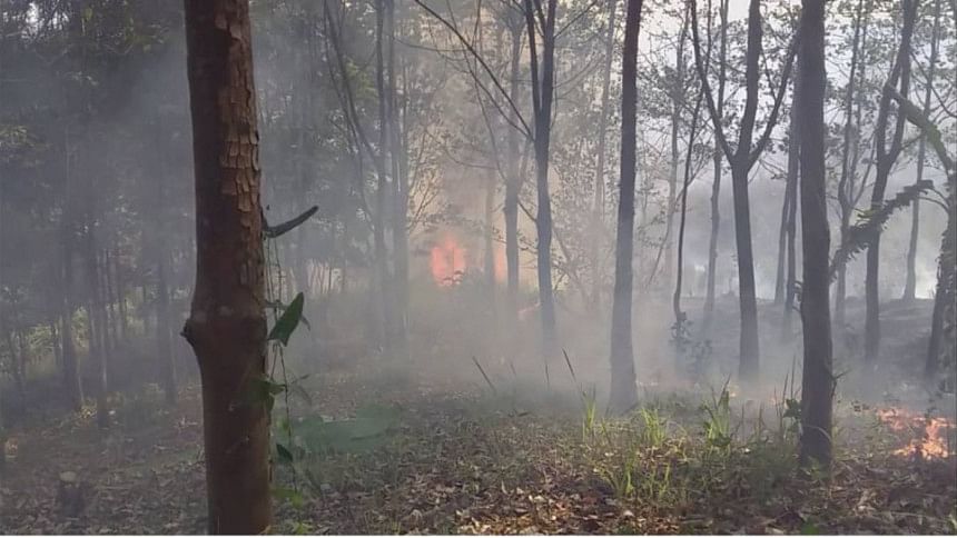 burnt rubber garden in Bandarban burnt rubber garden