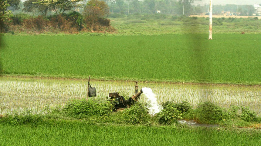 Govt trying to shore up Aman harvest Aman harvest