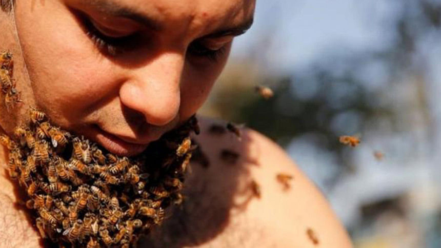 Beard of Bees Beard of Bees