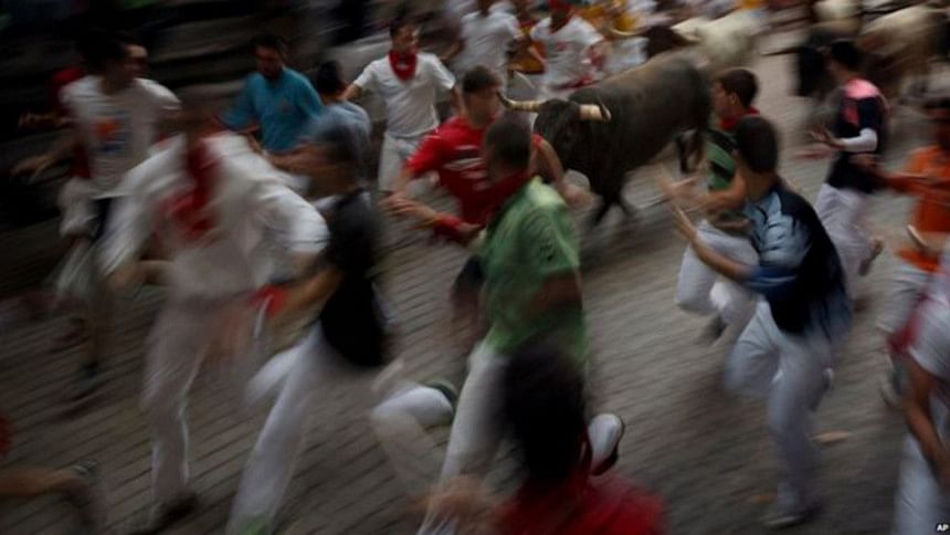 bulls