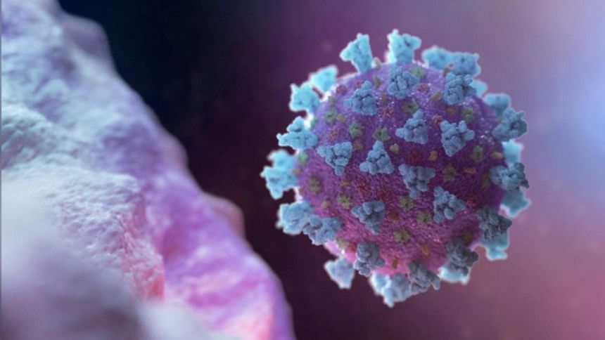 coronavirus covid 19 coronavirus covid 19