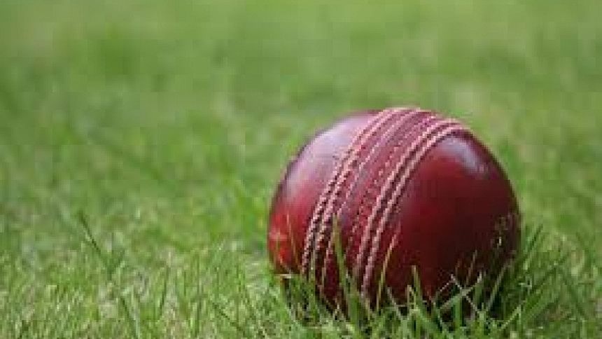 Cricket Ball Cricket Ball