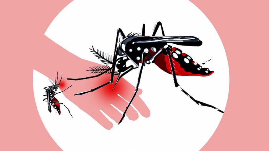 Aedes Mosquito Aedes Mosquito