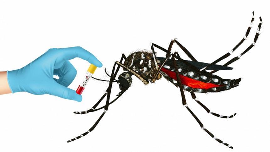 Death in Dengue Fever Death in Dengue Fever