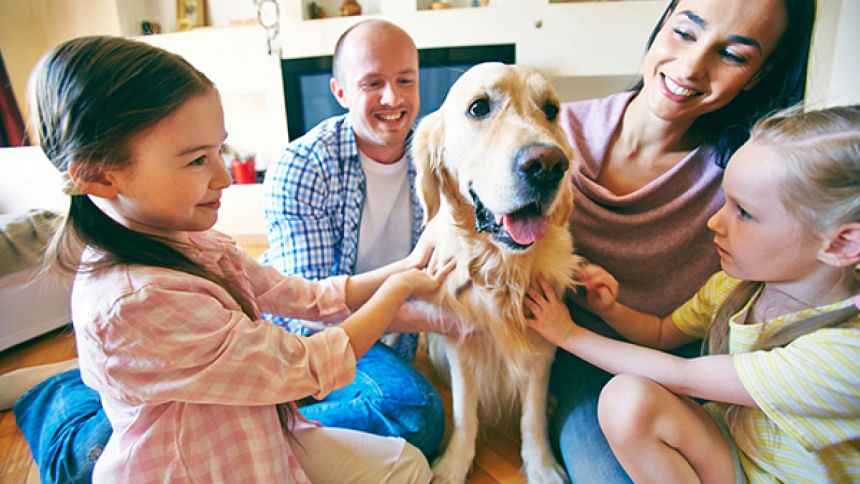 contact with dogs contact with dogs