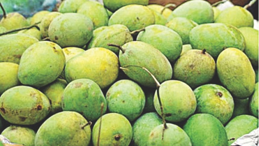 Mango ,exports ,fall on safety , Mango ,exports ,fall on safety ,