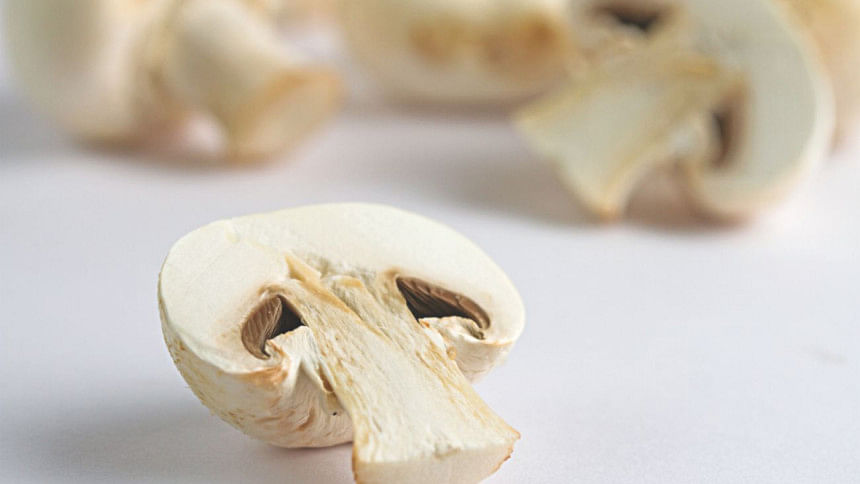 Super Food Mushroom the fungi Super Food Mushroom the fungi