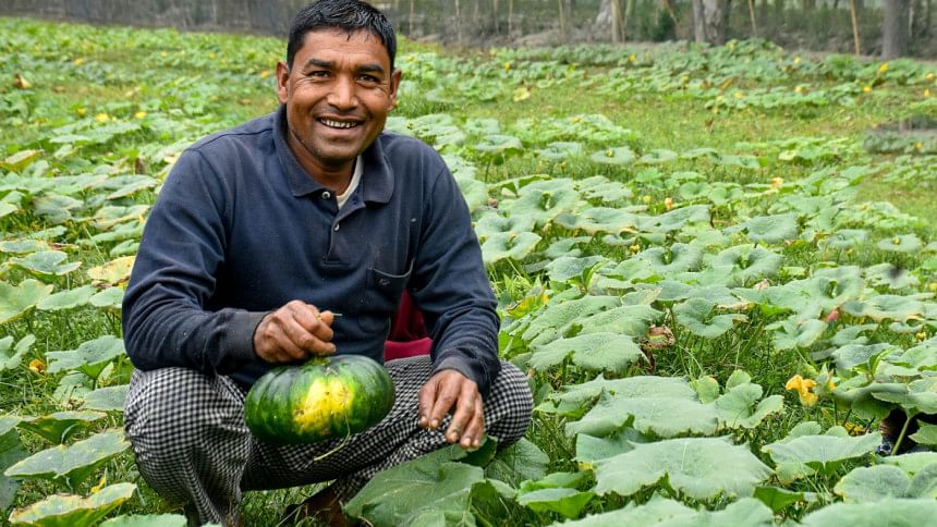Organic vegetable farming in Gaibandha Organic vegetable farming in Gaibandha