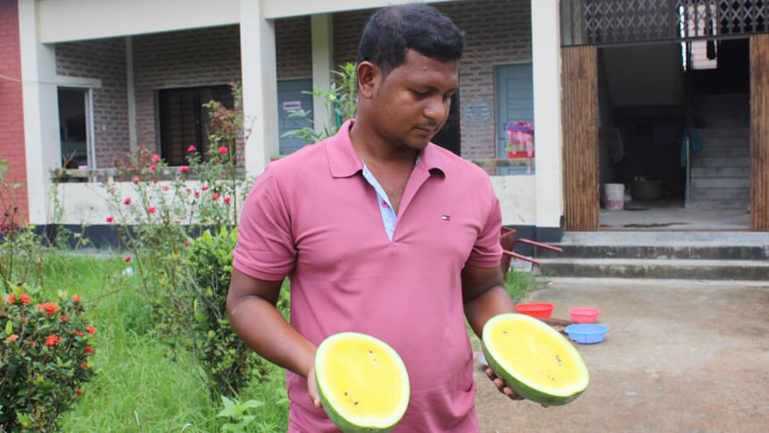 red and yellow watermelon red and yellow watermelon